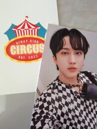 Stray Kids BuzzRhythm Circus Photocards