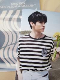 Stray Kids Maxident Barnes & Noble POB photocards
