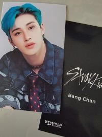 Stray Kids Nikkei Benefit Photocards