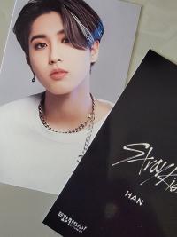 Stray Kids Nikkei Benefit Photocards