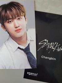 Stray Kids Nikkei Benefit Photocards