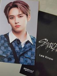 Stray Kids Nikkei Benefit Photocards