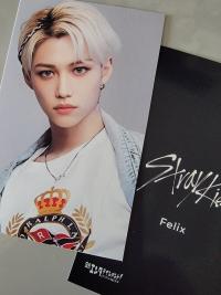 Stray Kids Nikkei Benefit Photocards