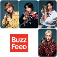 Stray Kids x Buzz Feed with Cats Photocards