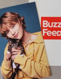Stray Kids x Buzz Feed with Cats Photocards
