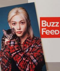 Stray Kids x Buzz Feed with Cats Photocards