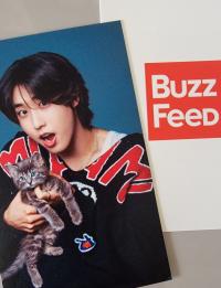 Stray Kids x Buzz Feed with Cats Photocards