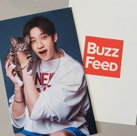 Stray Kids x Buzz Feed with Cats Photocards