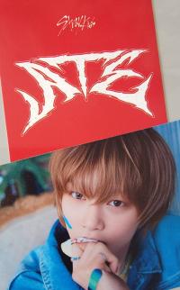 Stray Kids ATE Concept Photocards