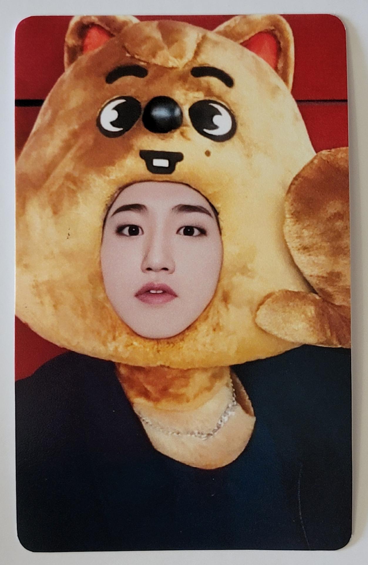 SKZ Maxident JYP Shop POB Photocards