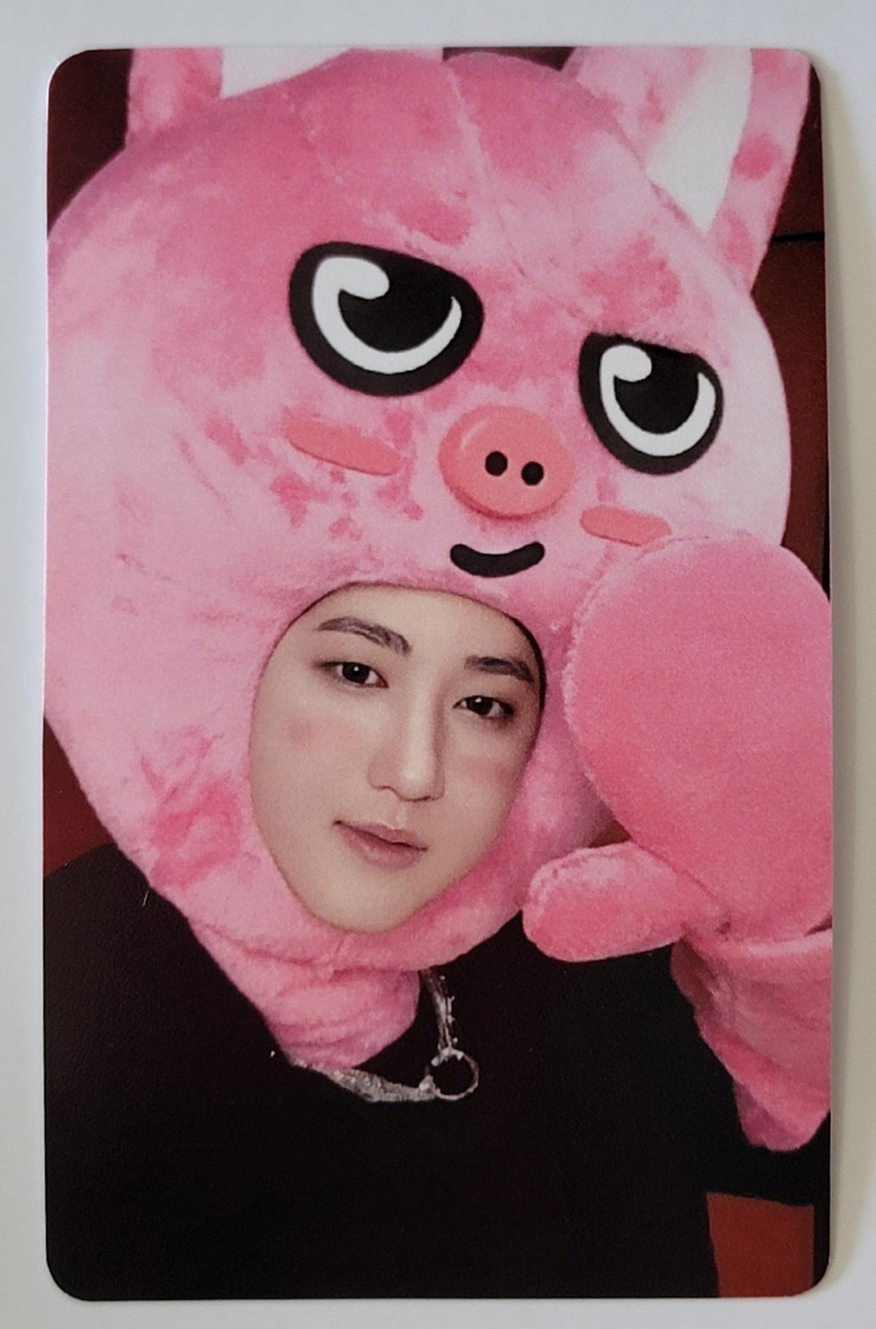 SKZ Maxident JYP Shop POB Photocards