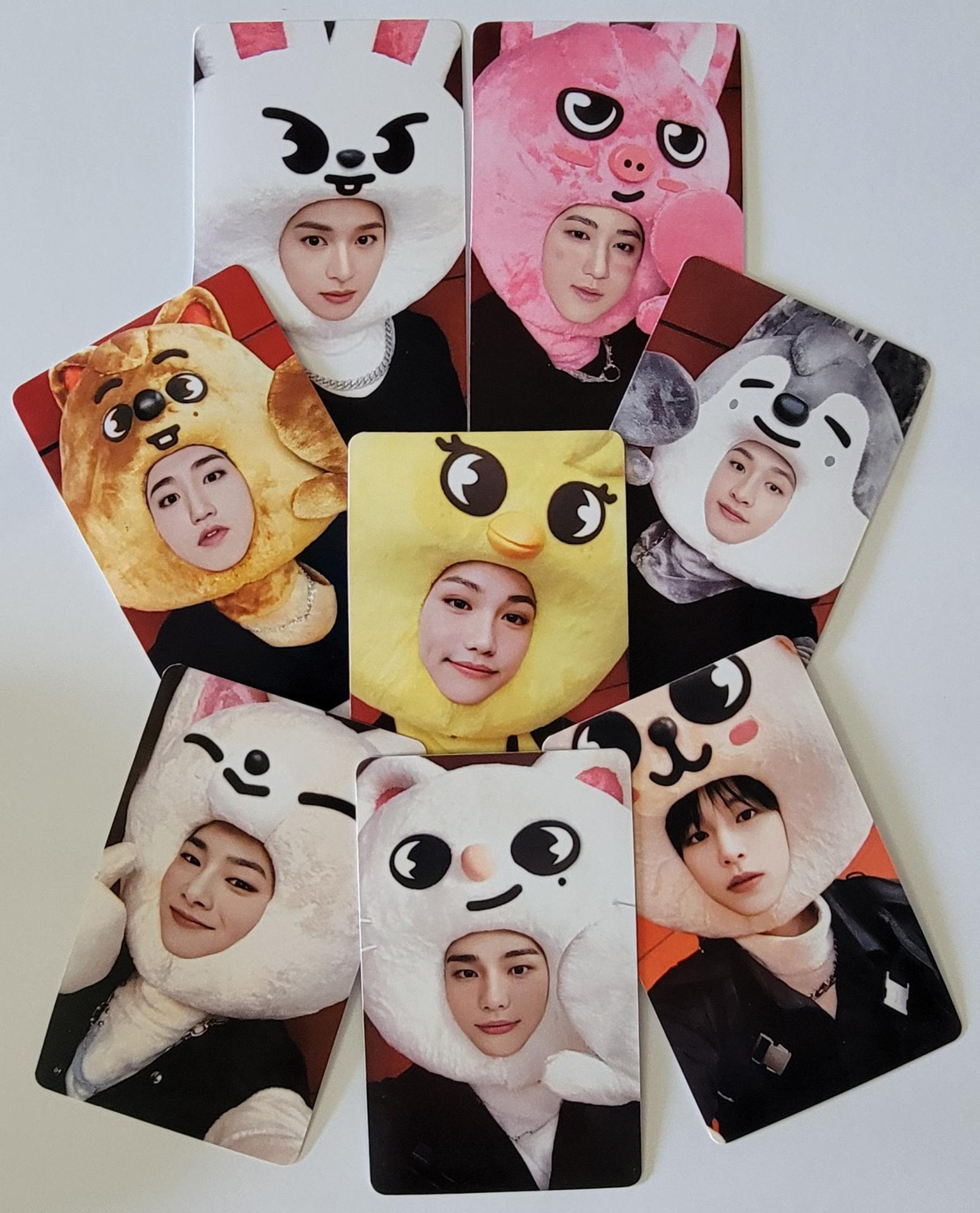 SKZ Maxident JYP Shop POB Photocards