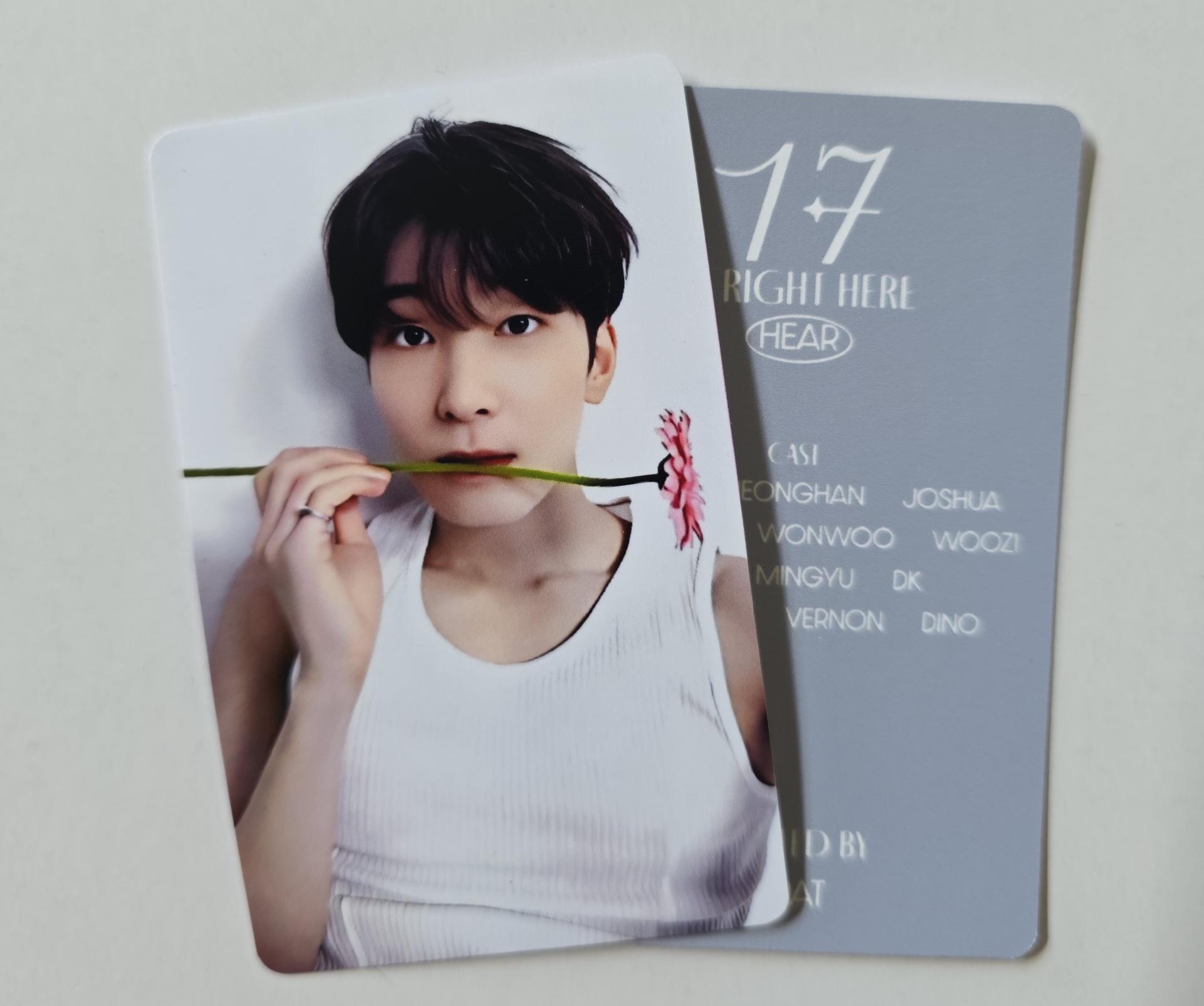 Seventeen : Wonwoo - 17 is Right Here Dear Ver Photocards 