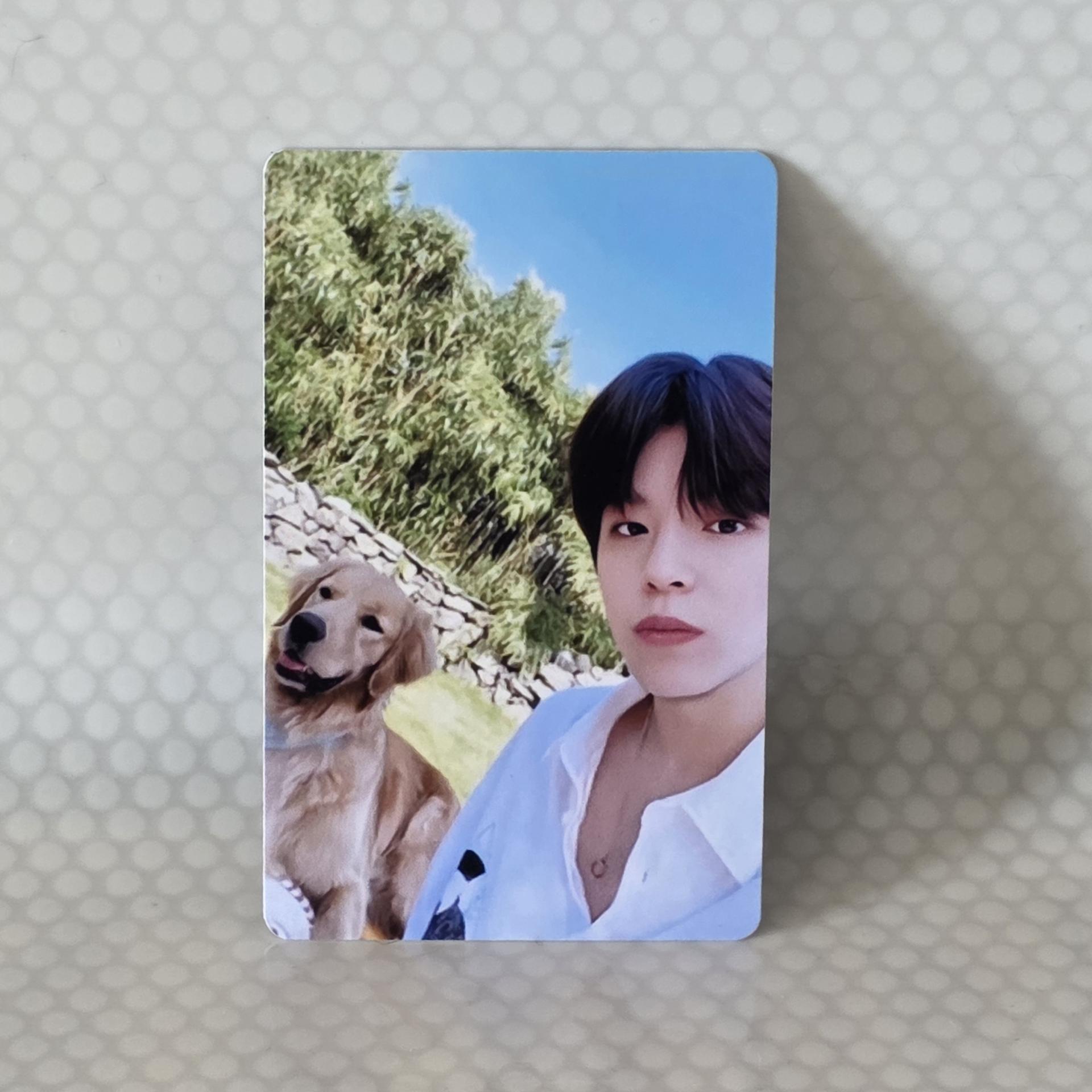 SKZ : Stay In Jeju - Skzoo Store Seungmin POB Photocards