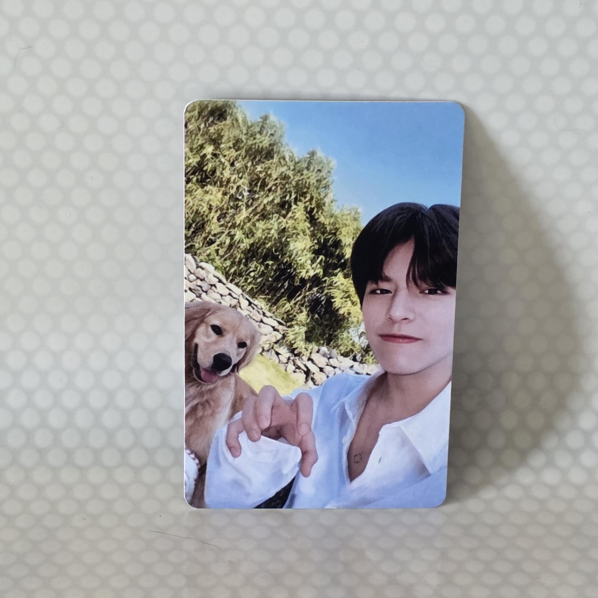 SKZ : Stay In Jeju - Skzoo Store Seungmin POB Photocards