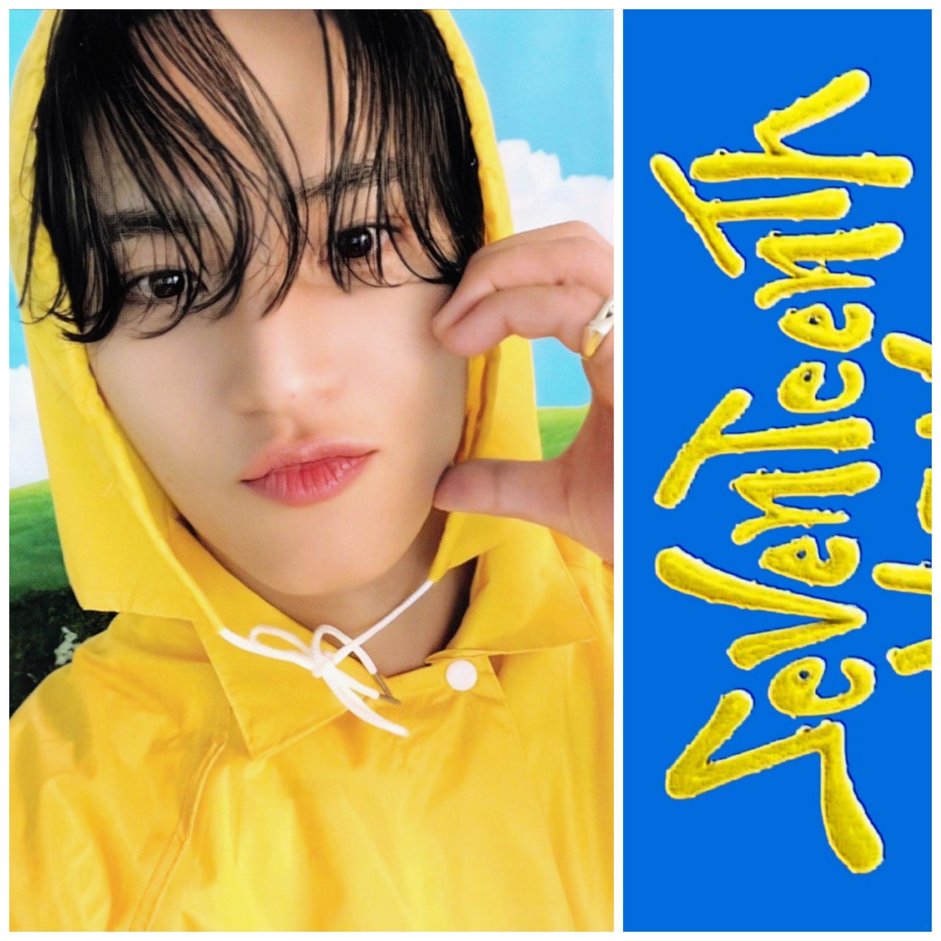 17 - Seventeenth Heaven Carat Version - Mingyu Photocards