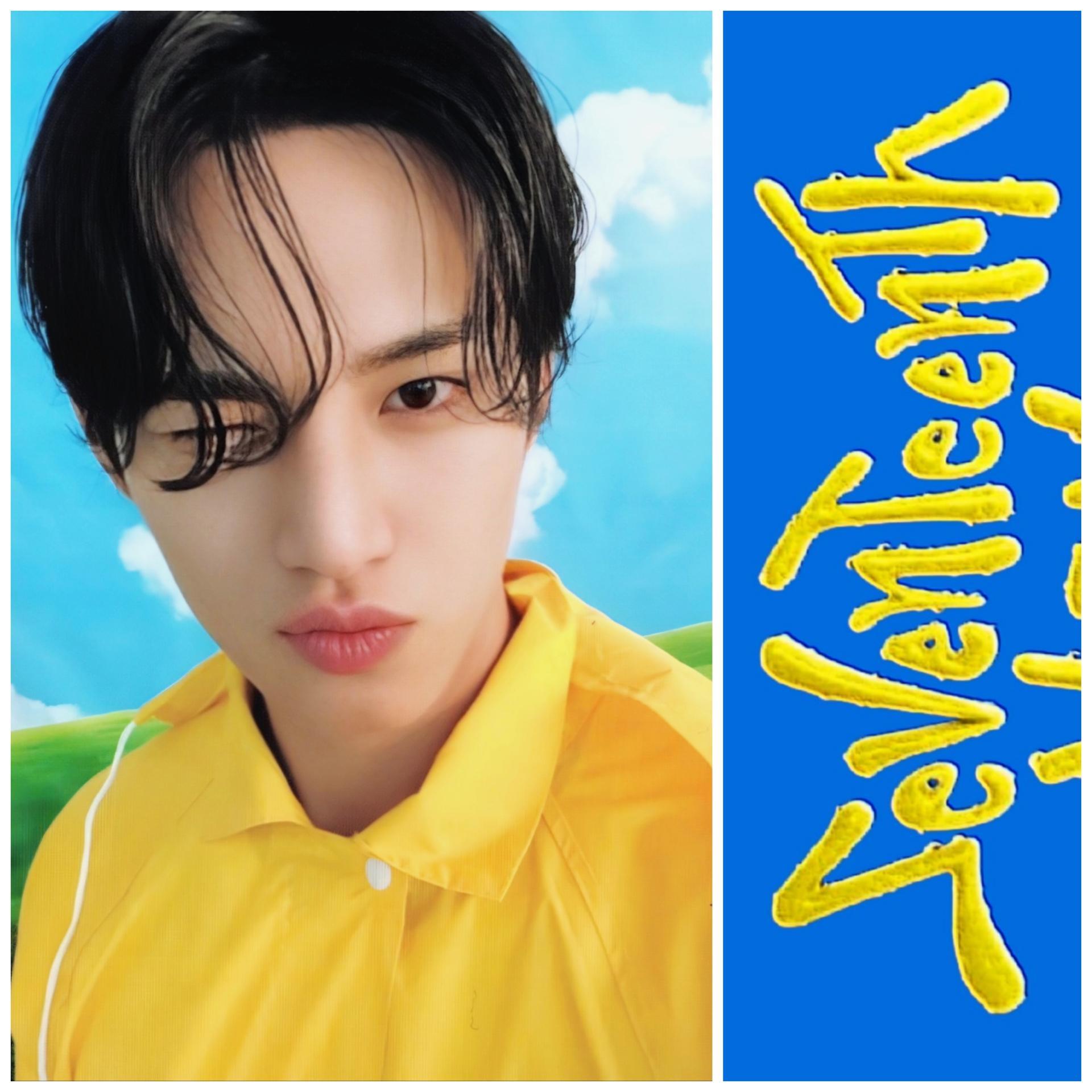 17 - Seventeenth Heaven Carat Version - Mingyu Photocards