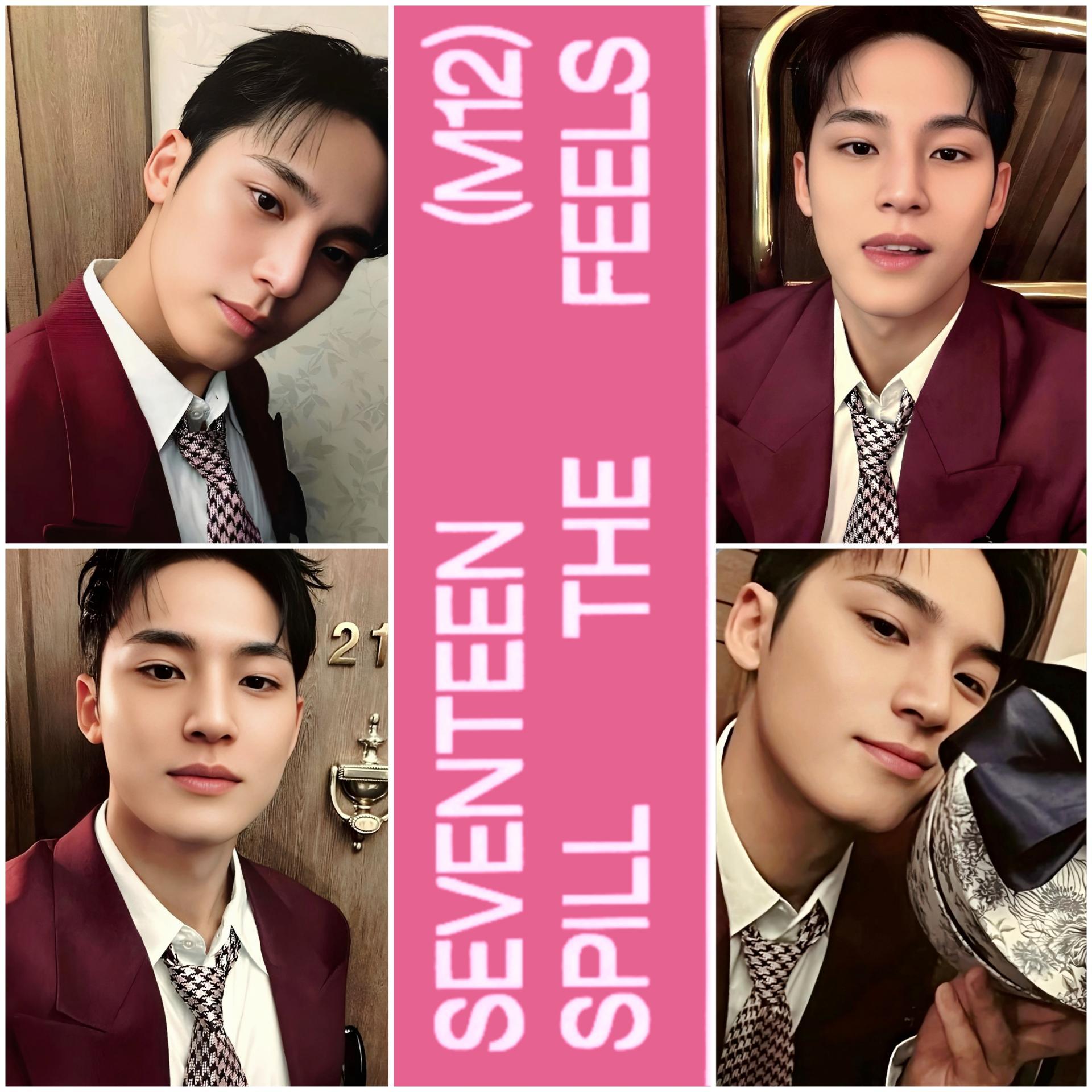 17 - Spill The Feels Carat Edition - Mingyu Photocards