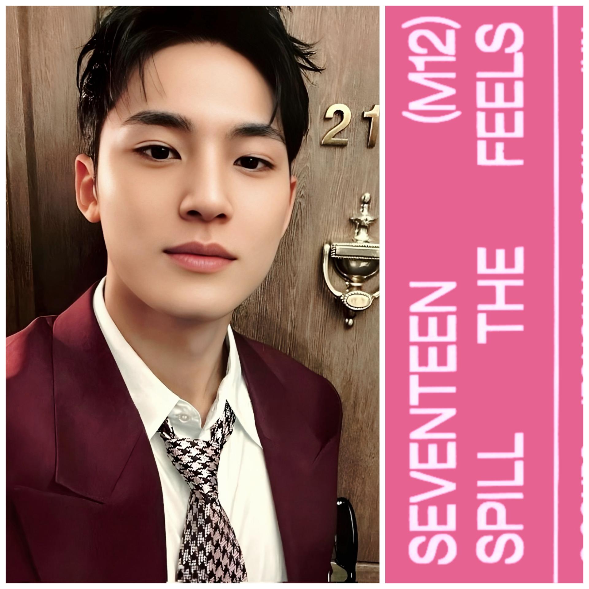 17 - Spill The Feels Carat Edition - Mingyu Photocards