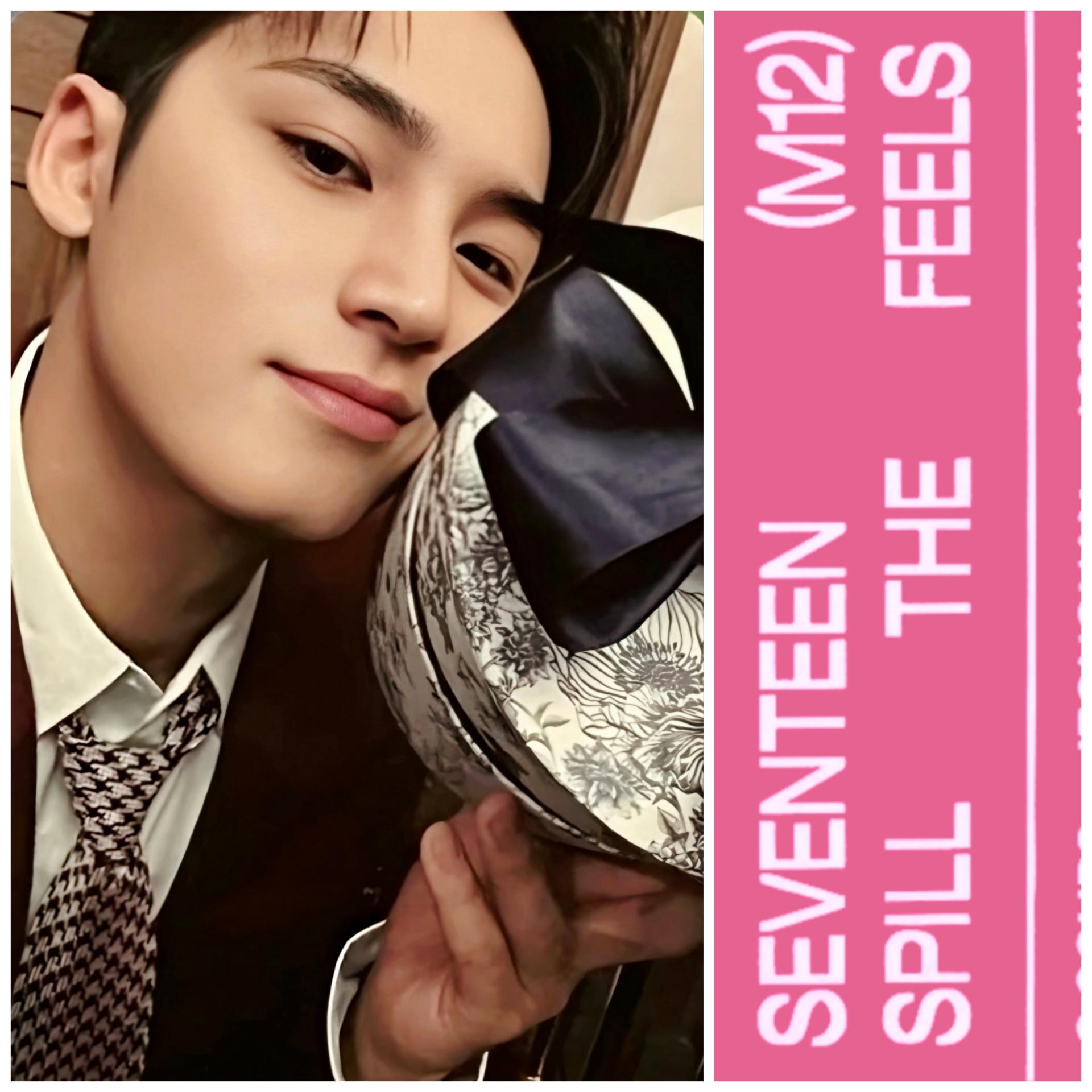 17 - Spill The Feels Carat Edition - Mingyu Photocards