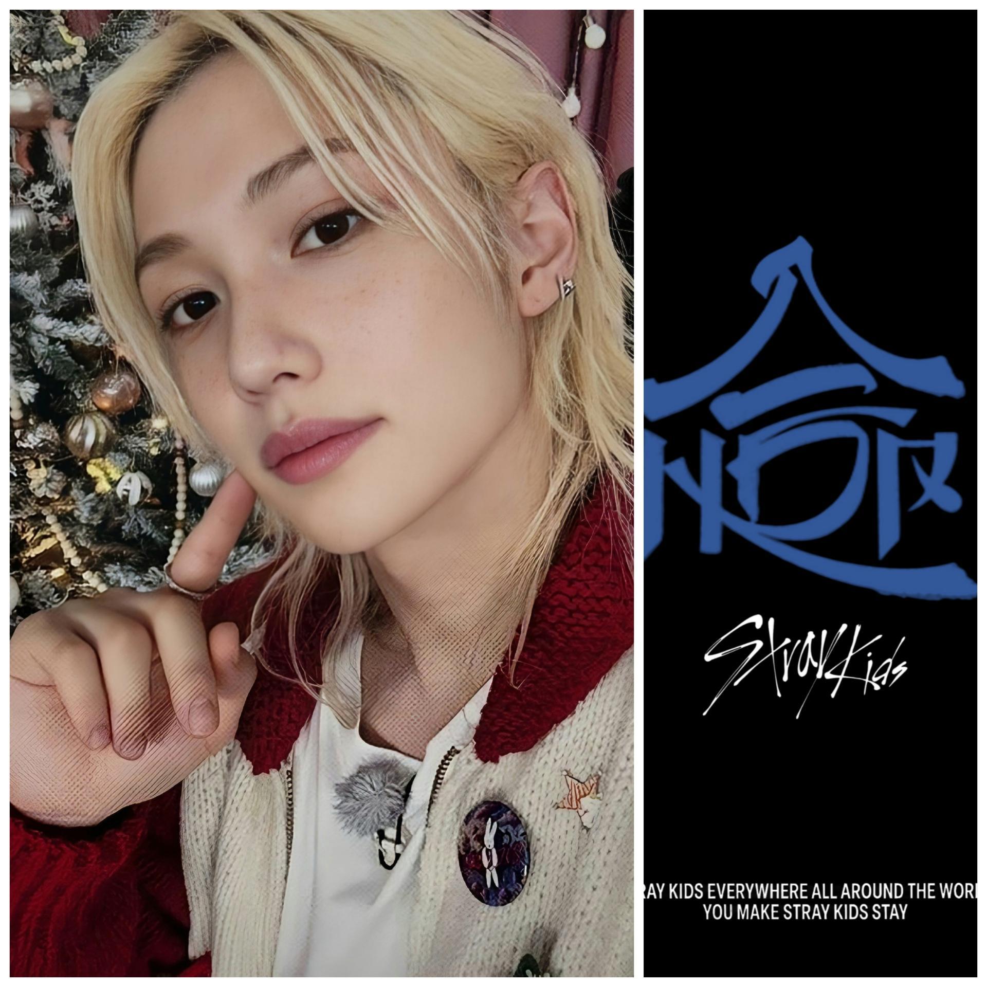Stray Kids - Hop Event Photocards
