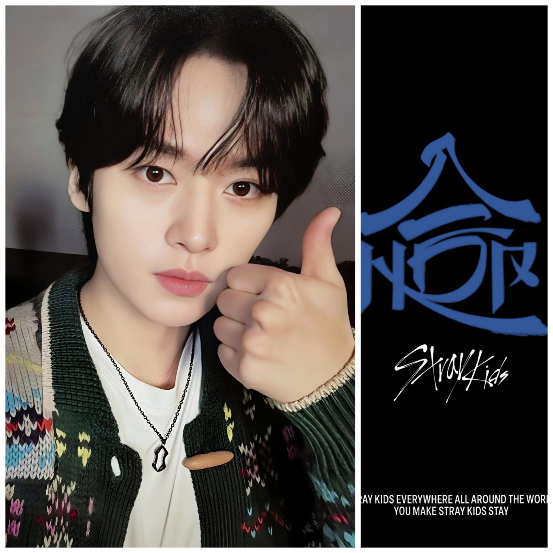 Stray Kids - Hop Event Photocards