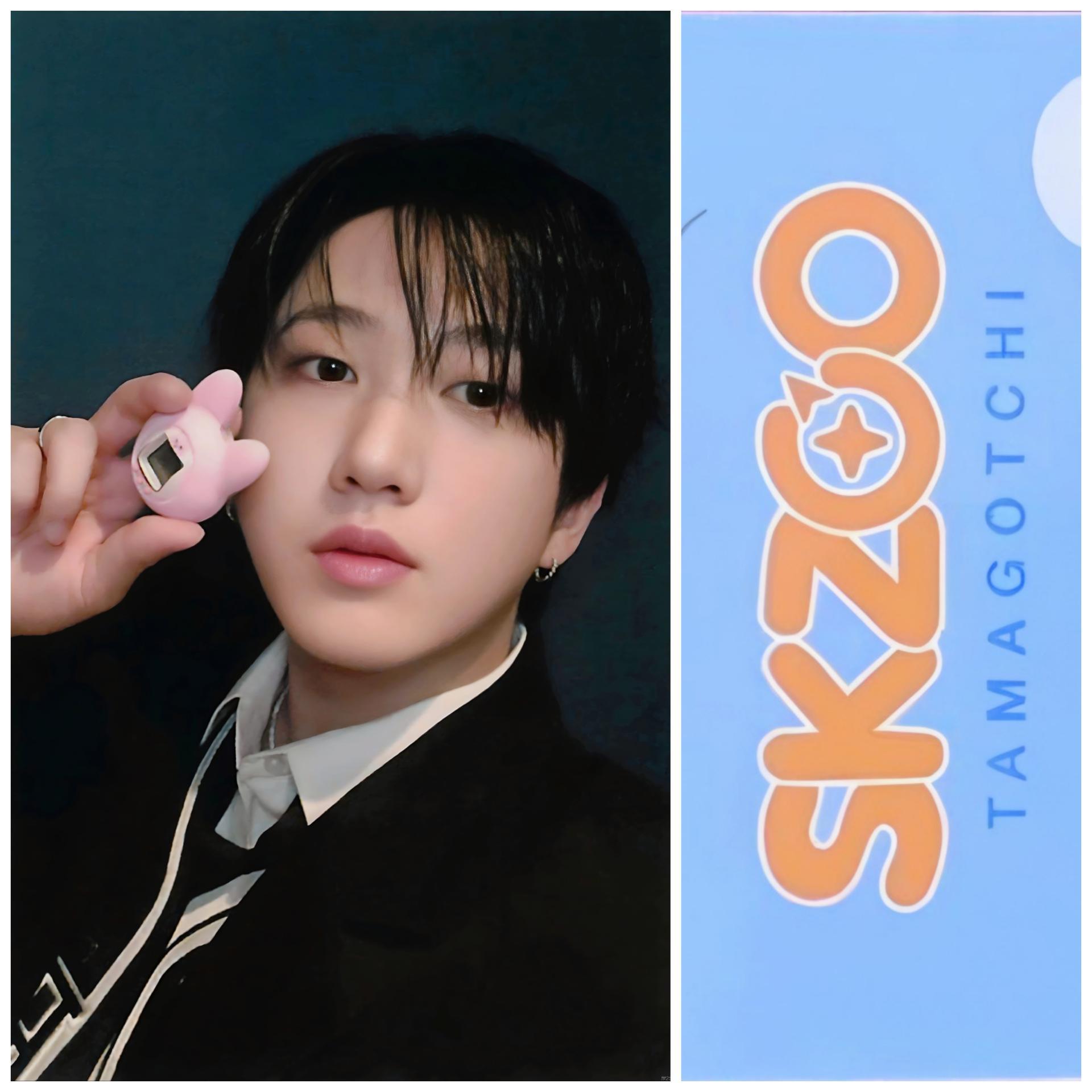 SKZ Skzoo x Tamagotchie Photocards