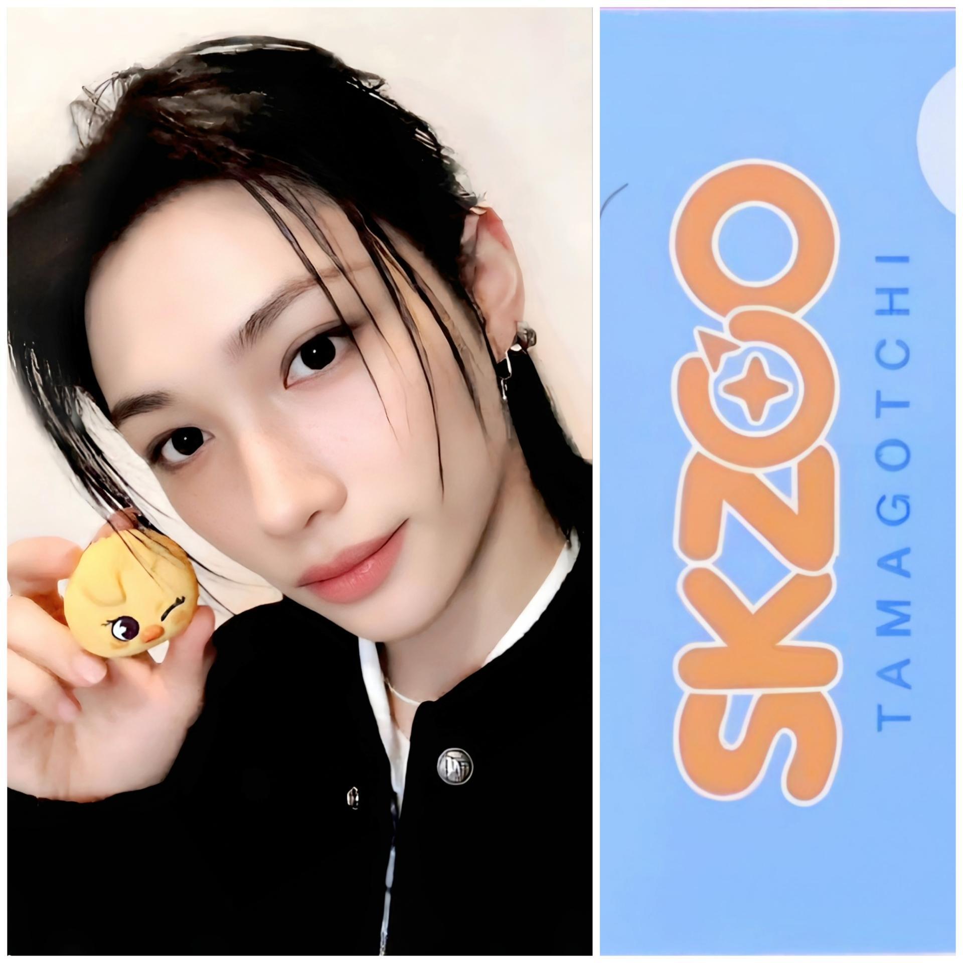 SKZ Skzoo x Tamagotchie Photocards