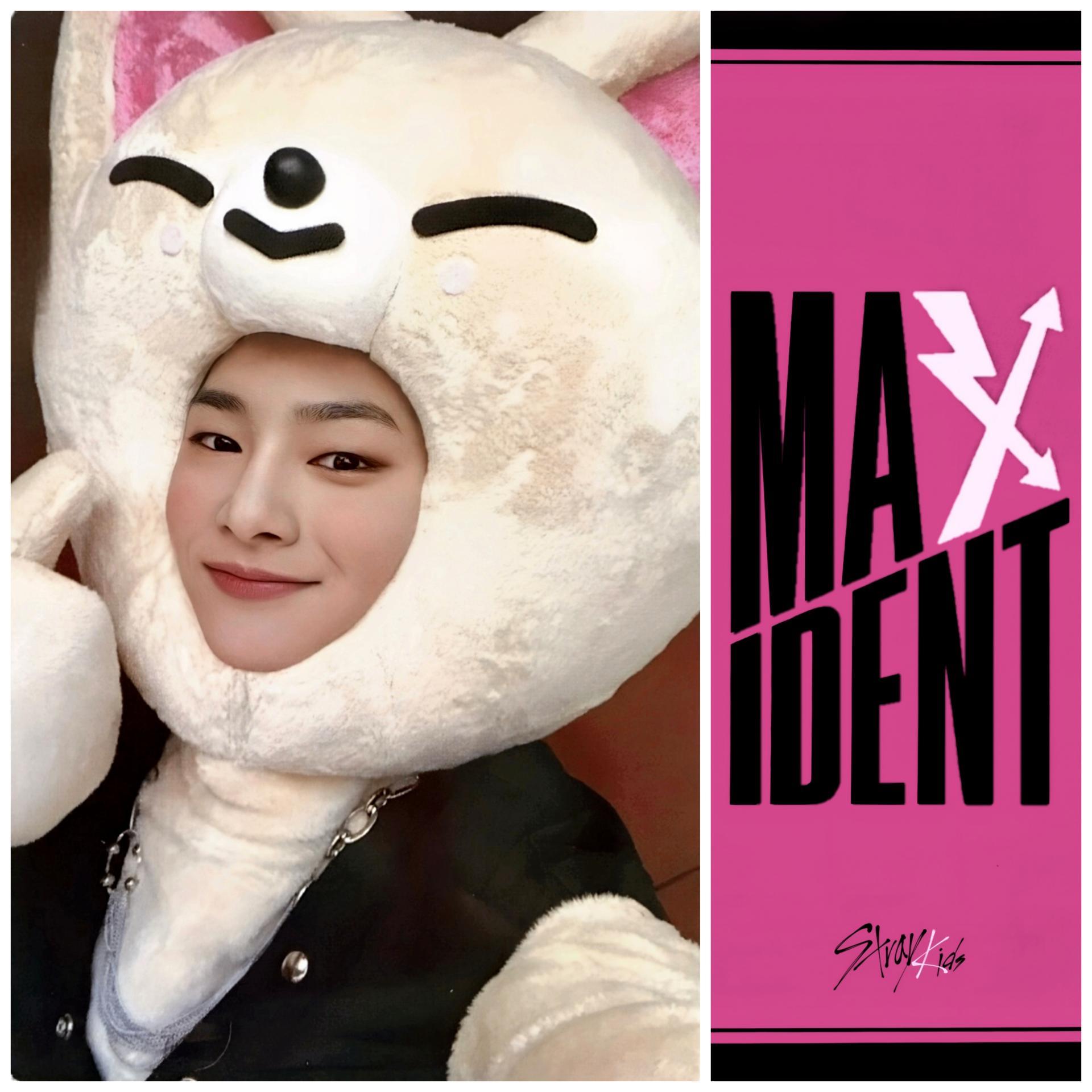 SKZ Maxident JYP Shop POB Photocards