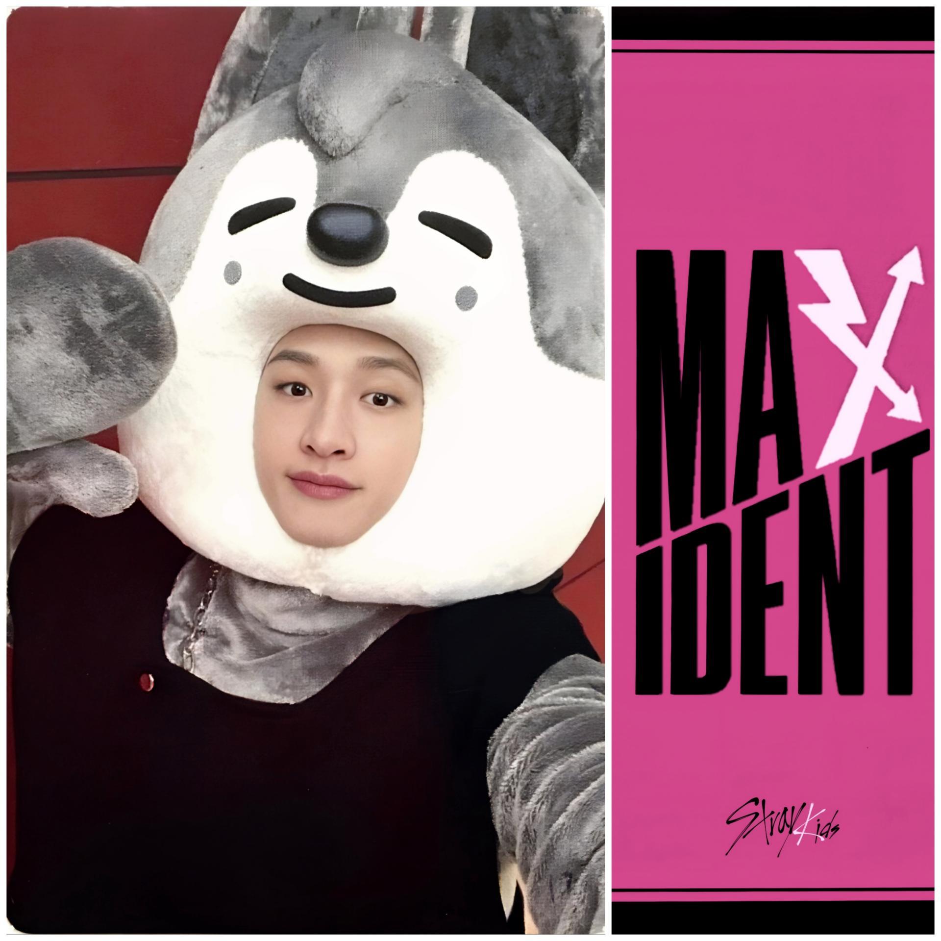 SKZ Maxident JYP Shop POB Photocards