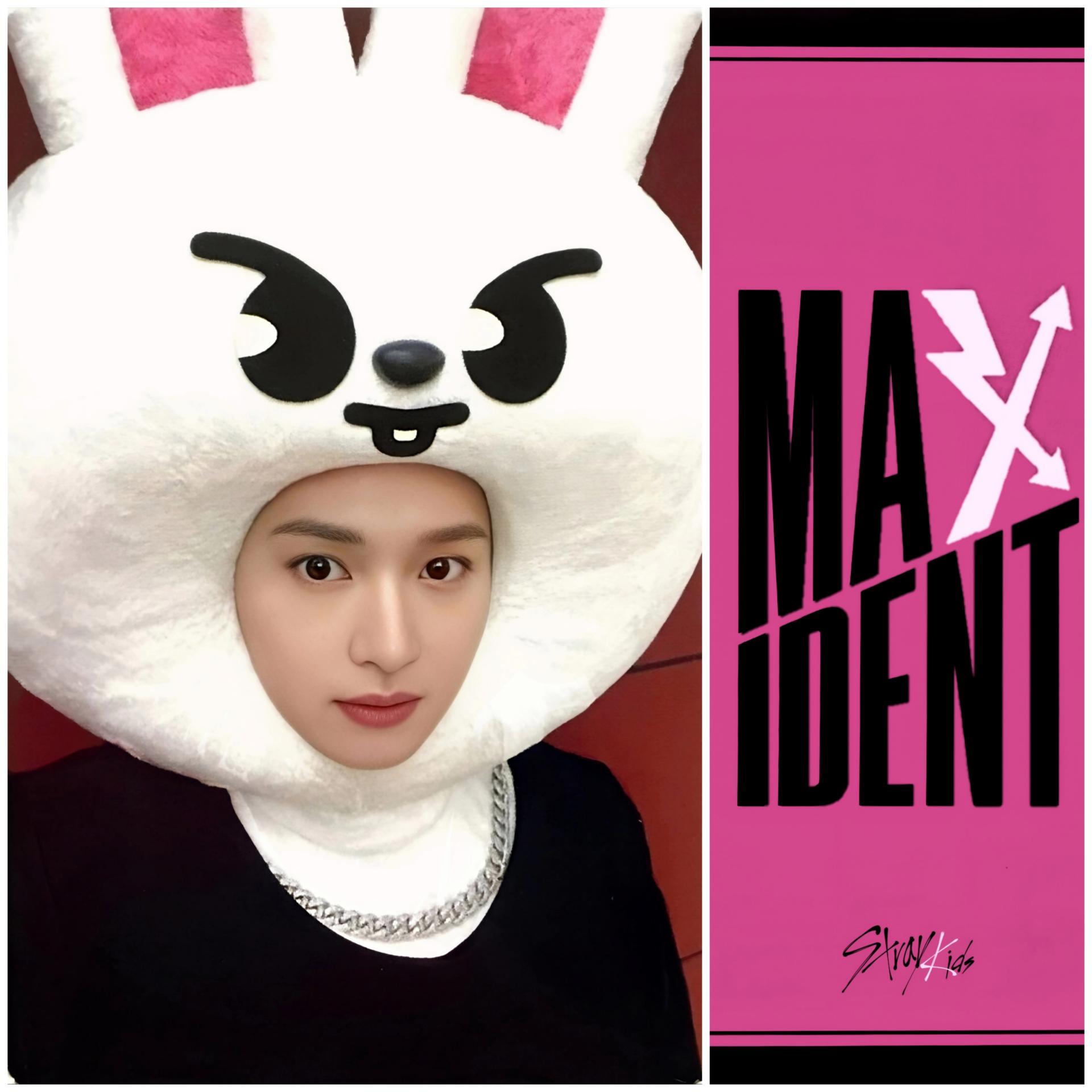 SKZ Maxident JYP Shop POB Photocards