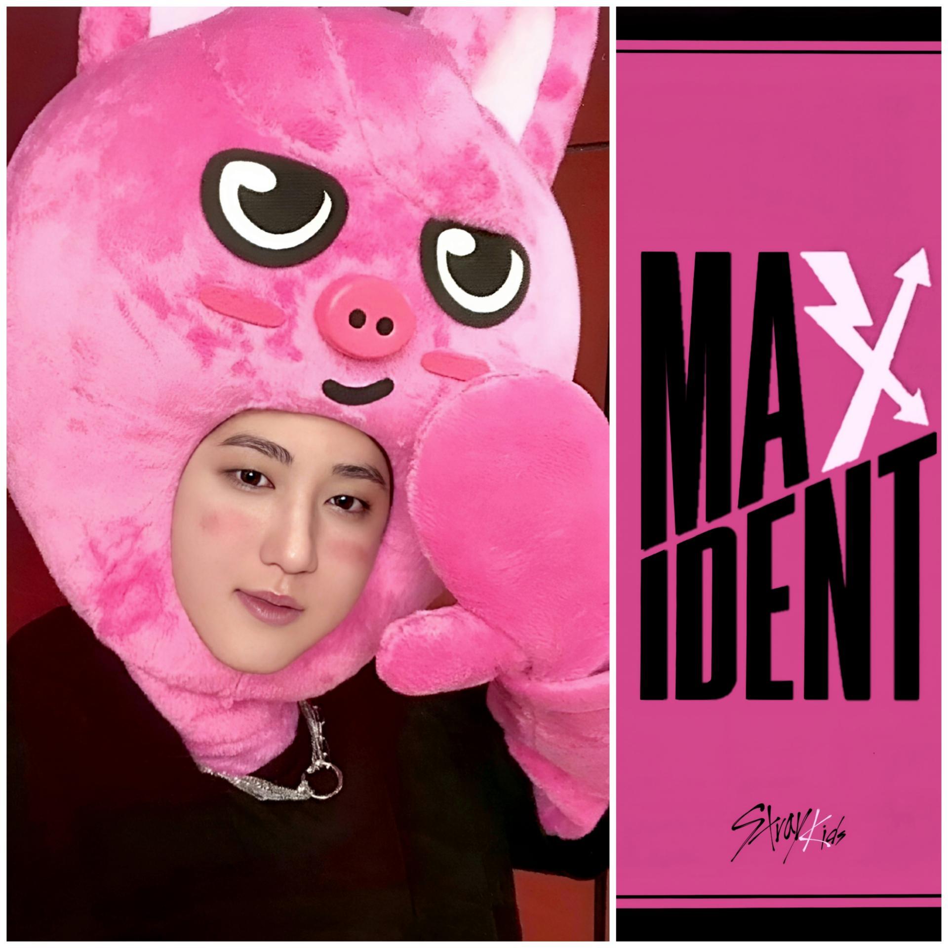 SKZ Maxident JYP Shop POB Photocards