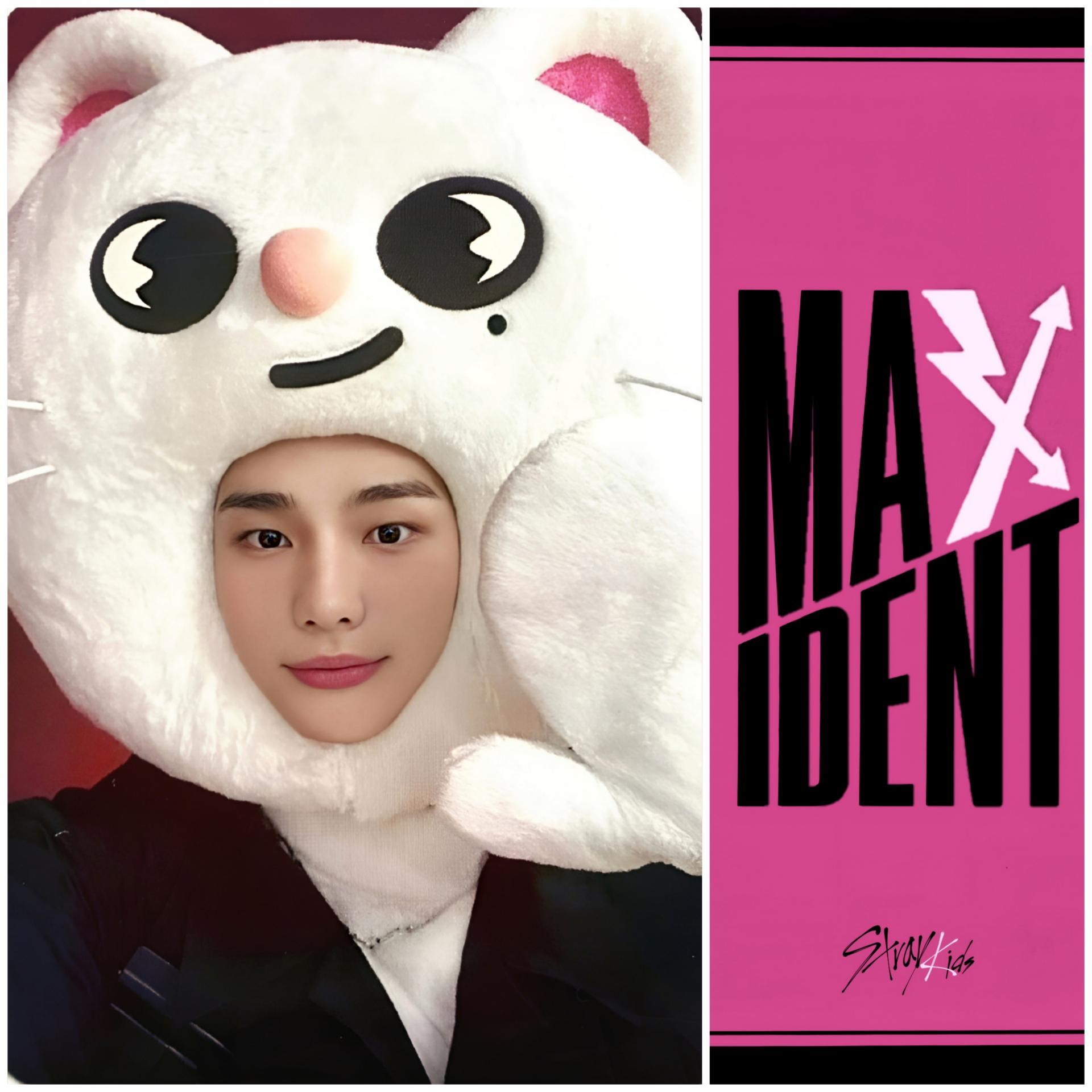 SKZ Maxident JYP Shop POB Photocards