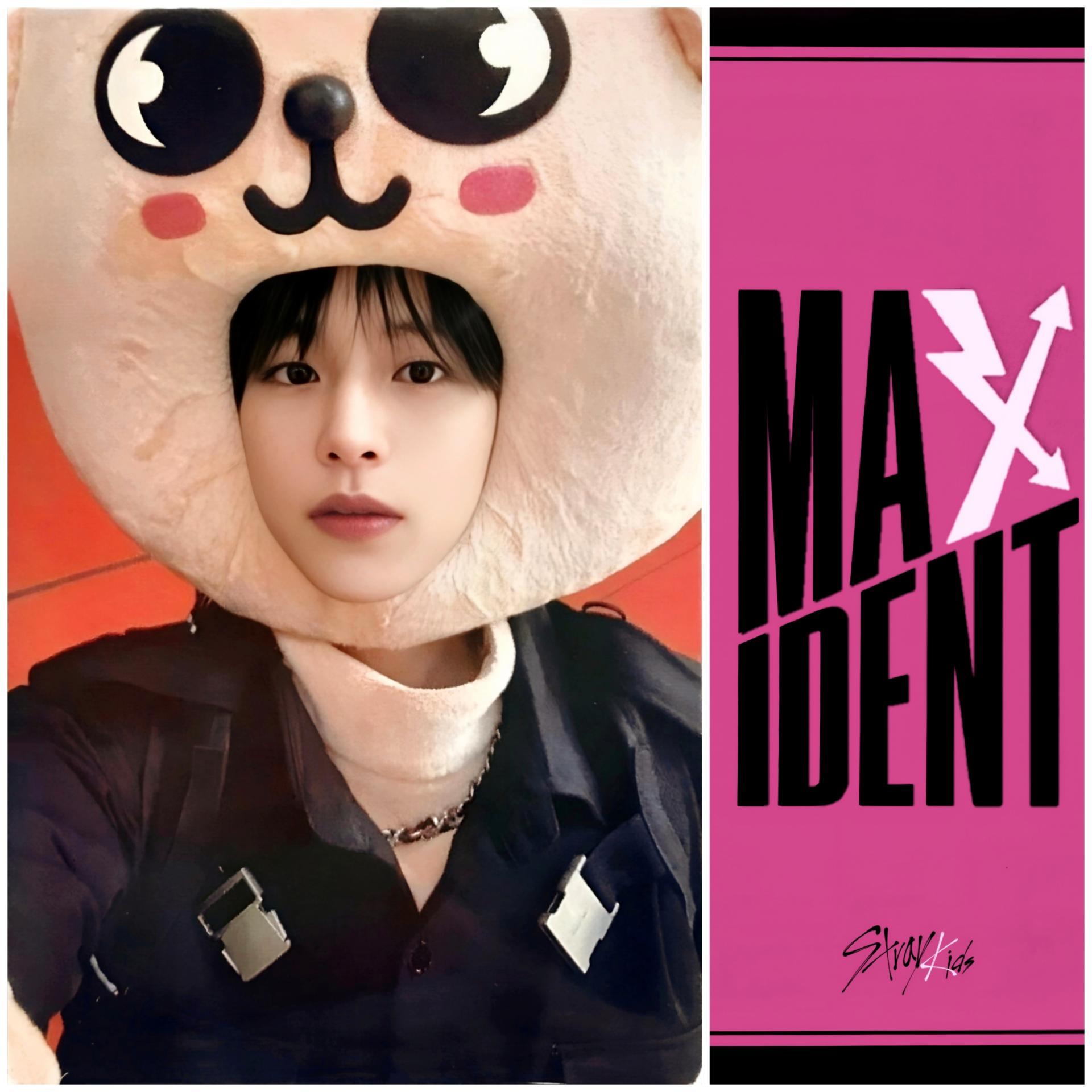 SKZ Maxident JYP Shop POB Photocards