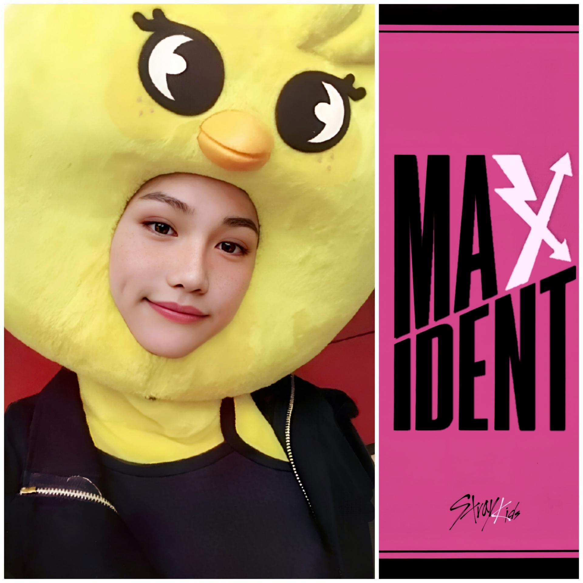 SKZ Maxident JYP Shop POB Photocards