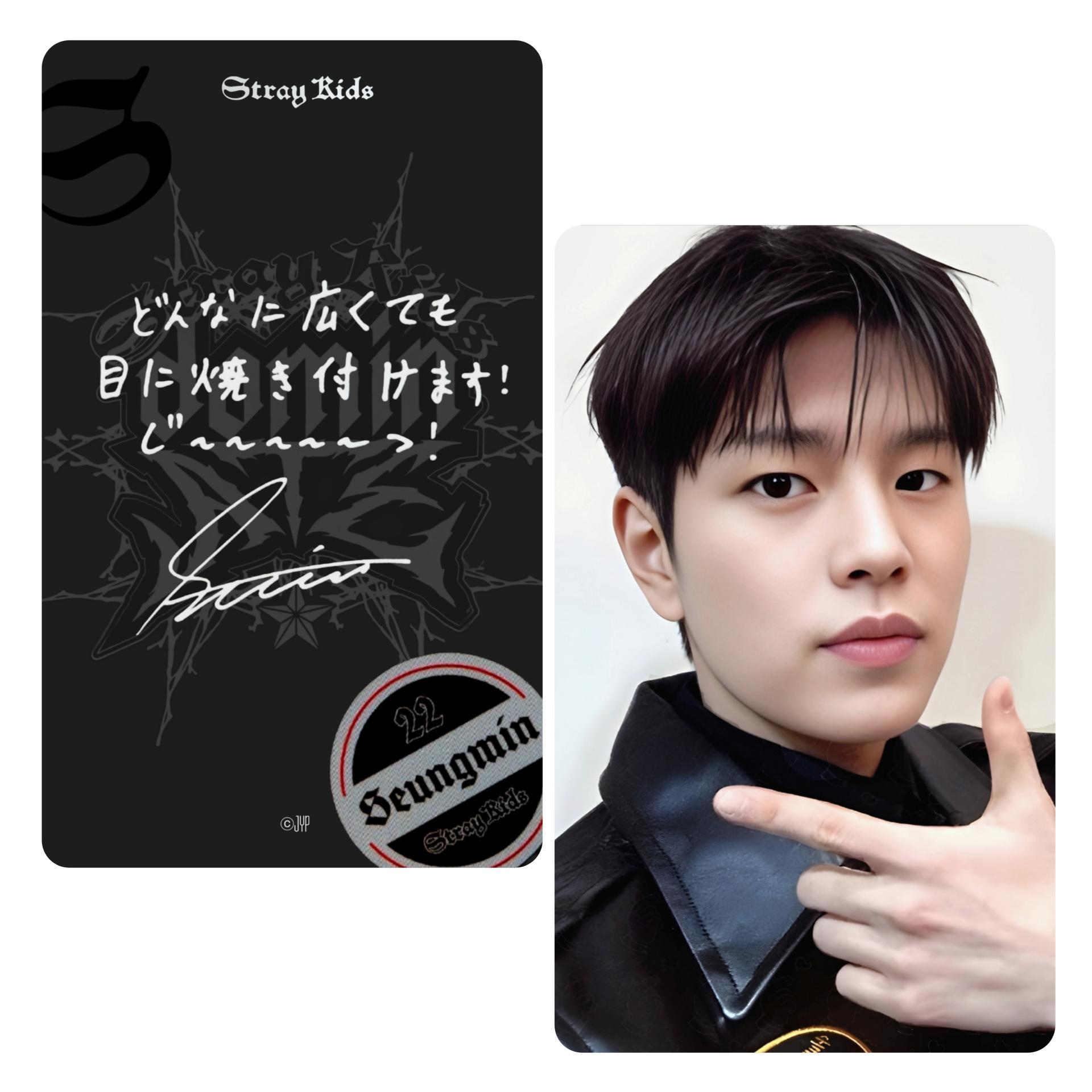 STRAY KIDS dominATE Japan Shizuoka Stadium Ecopa Popup POB Photocards