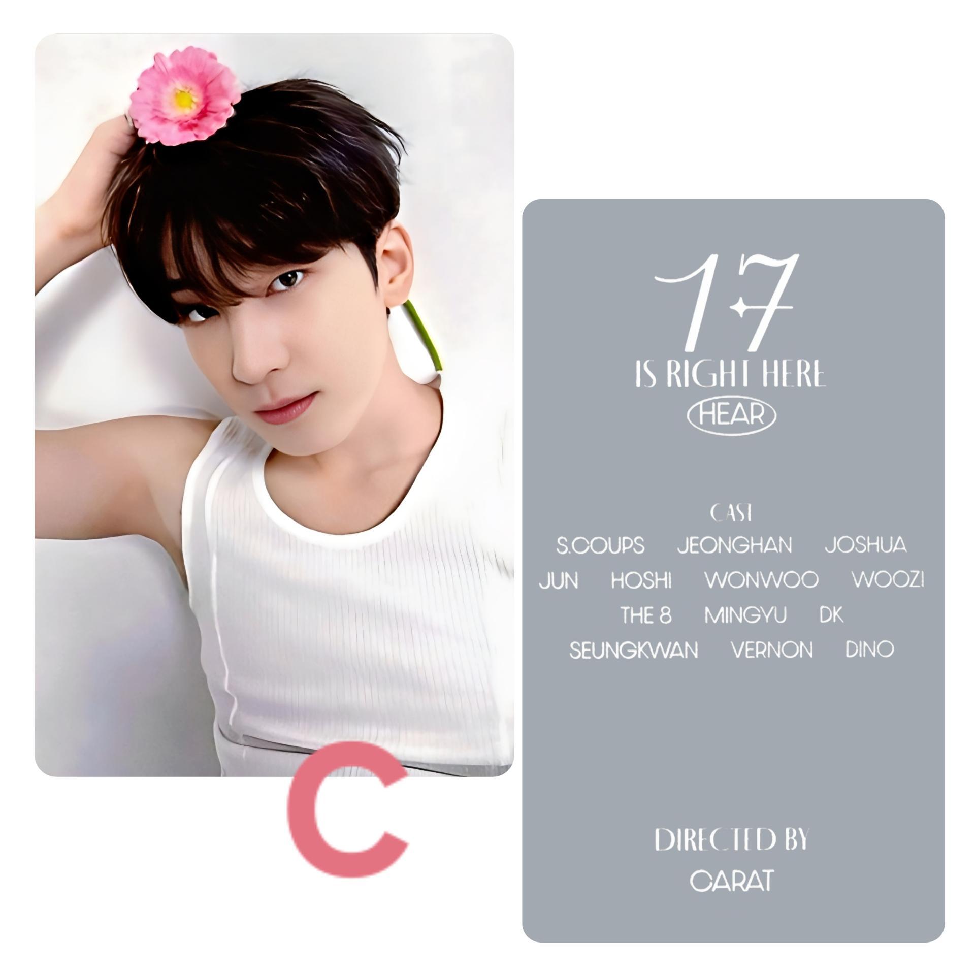 Seventeen : Wonwoo - 17 is Right Here Dear Ver Photocards 