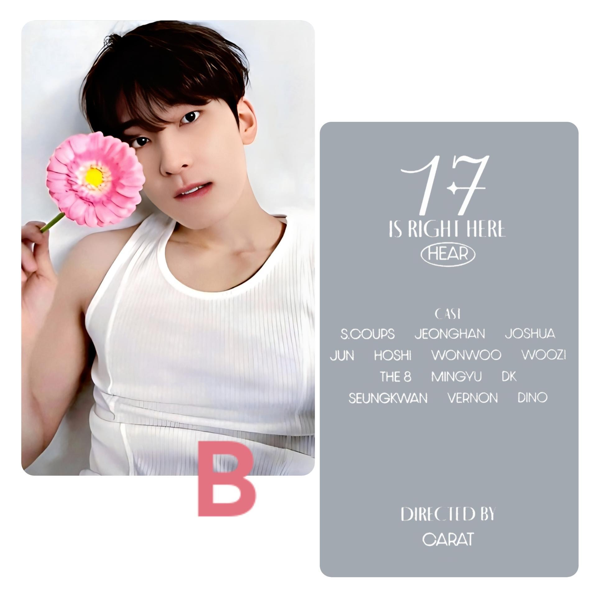 Seventeen : Wonwoo - 17 is Right Here Dear Ver Photocards 