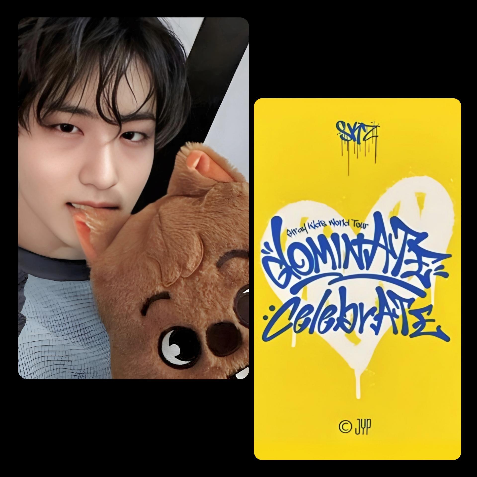 Stray Kids : Dominate Celebrate Pop Up Photocards