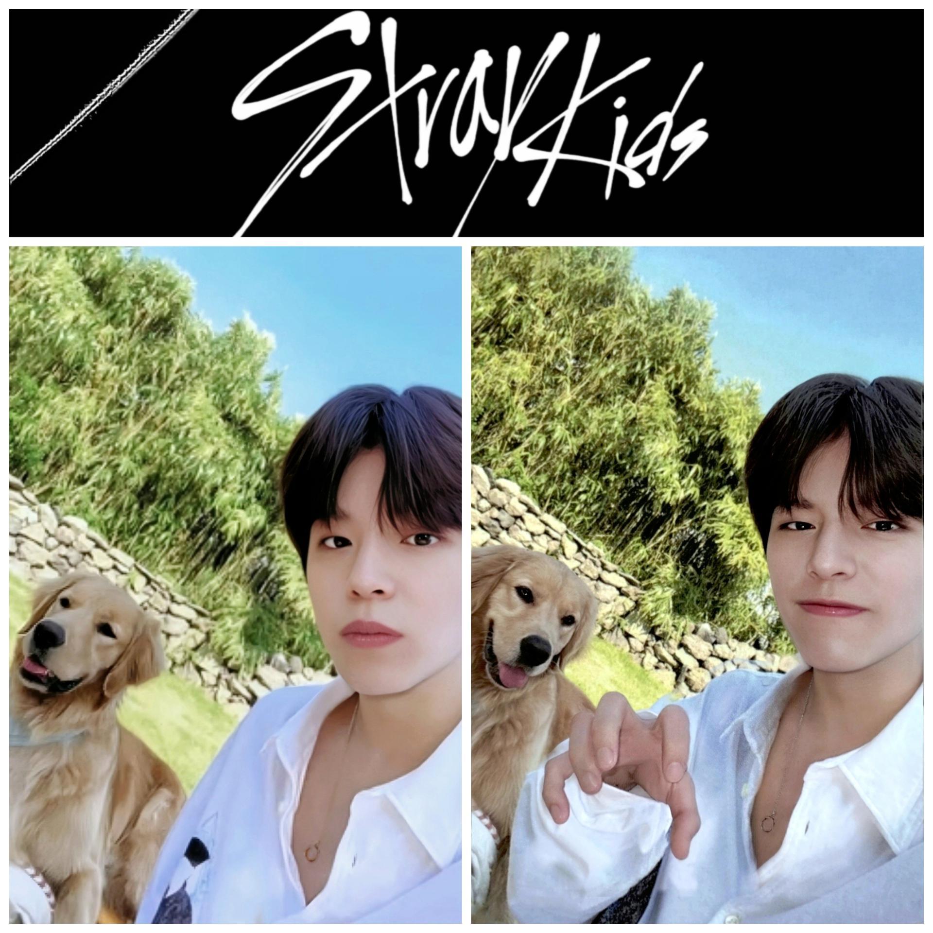 SKZ : Stay In Jeju - Skzoo Store Seungmin POB Photocards