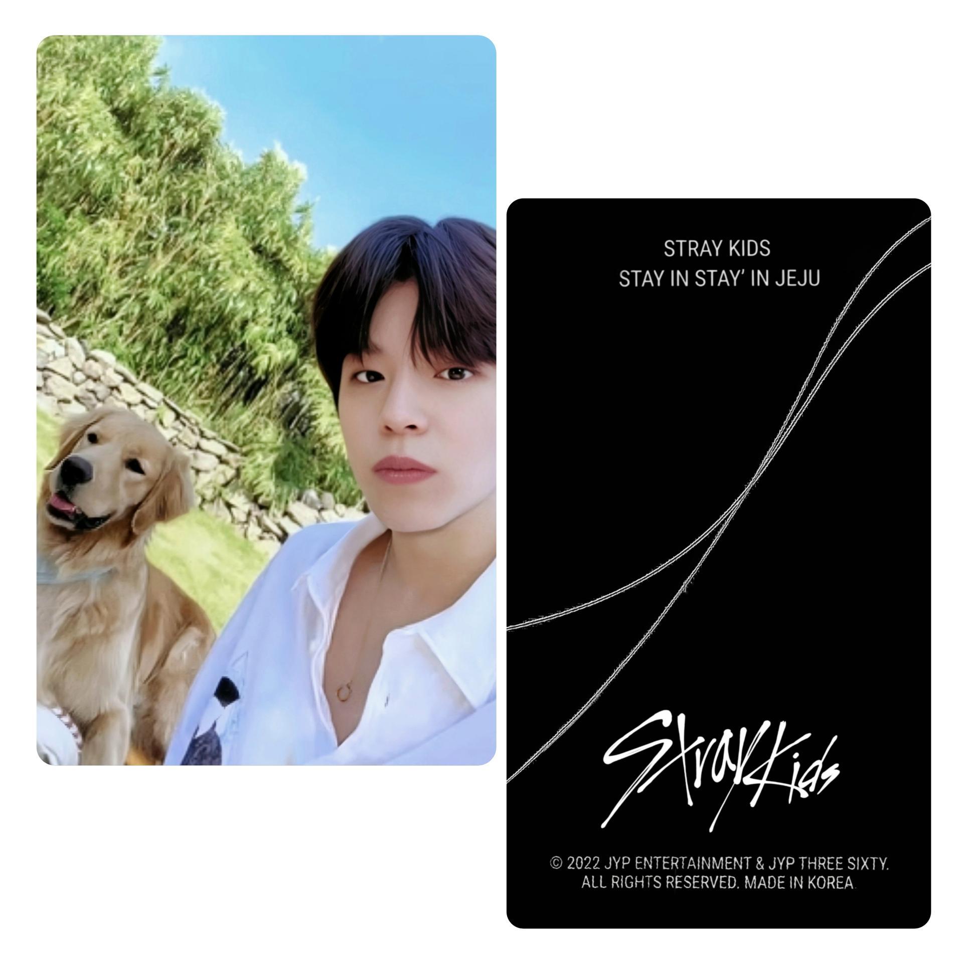 SKZ : Stay In Jeju - Skzoo Store Seungmin POB Photocards