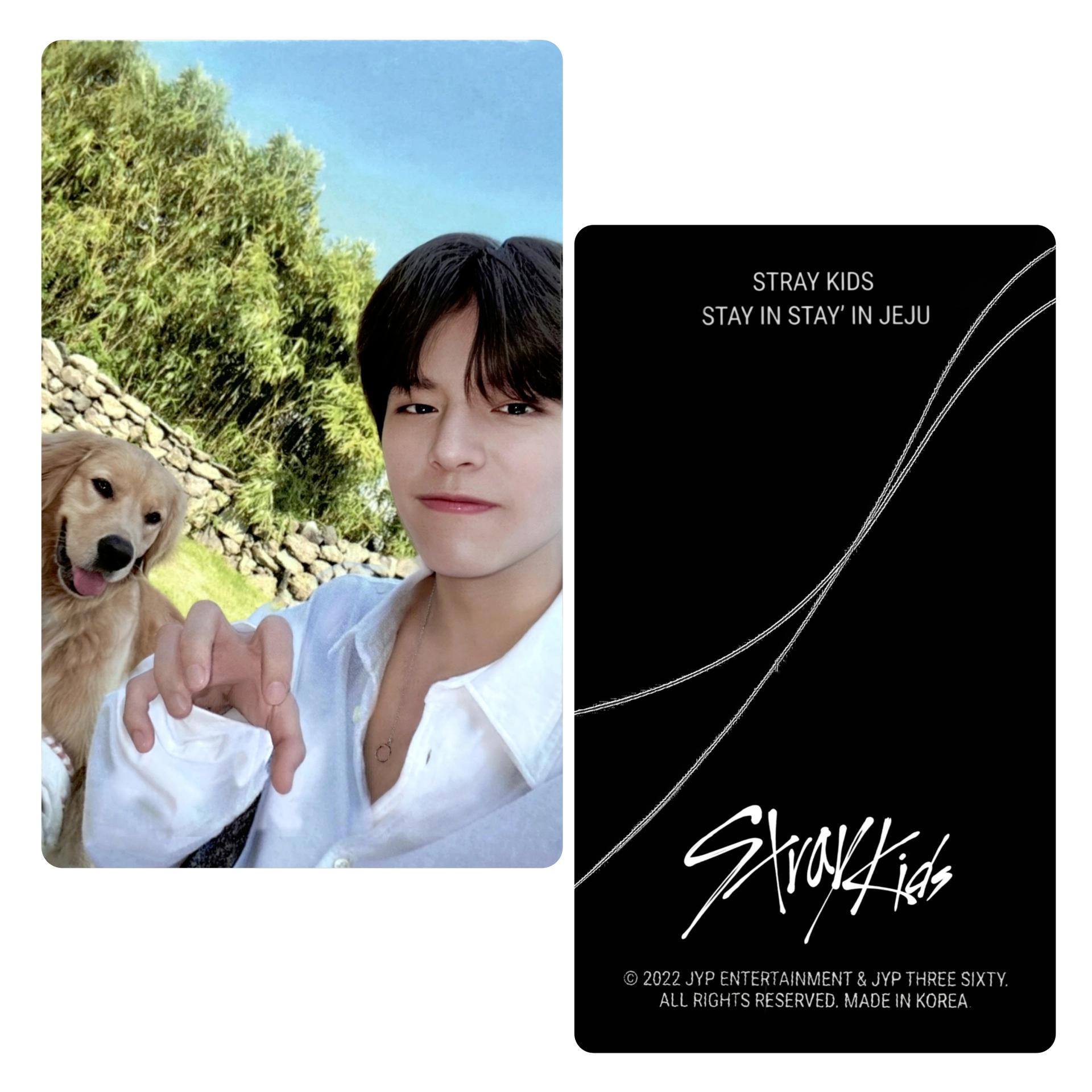 SKZ : Stay In Jeju - Skzoo Store Seungmin POB Photocards