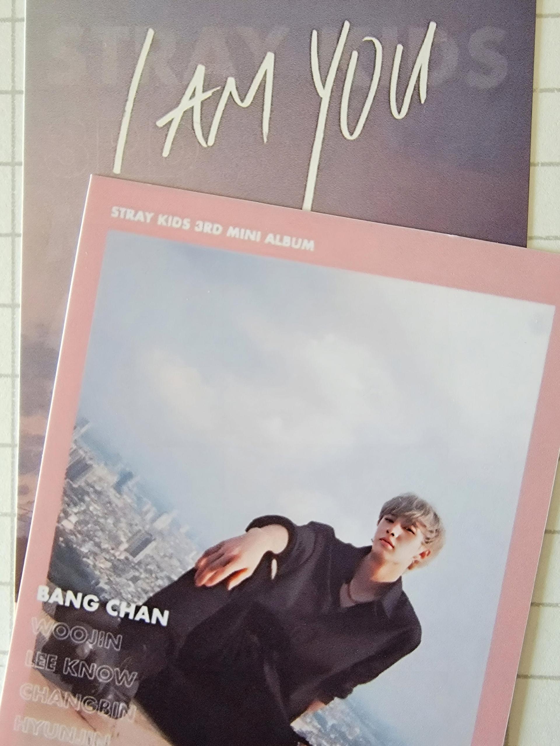 Stray Kids - I am You Polaroid