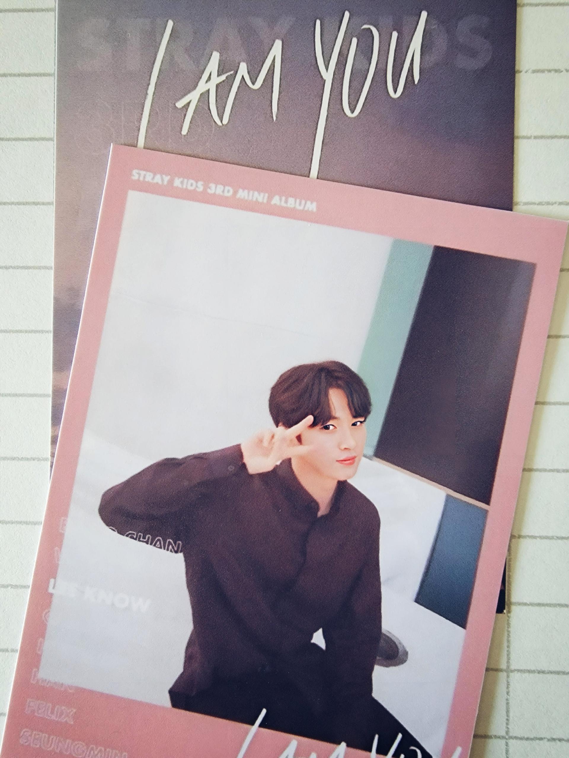 Stray Kids - I am You Polaroid