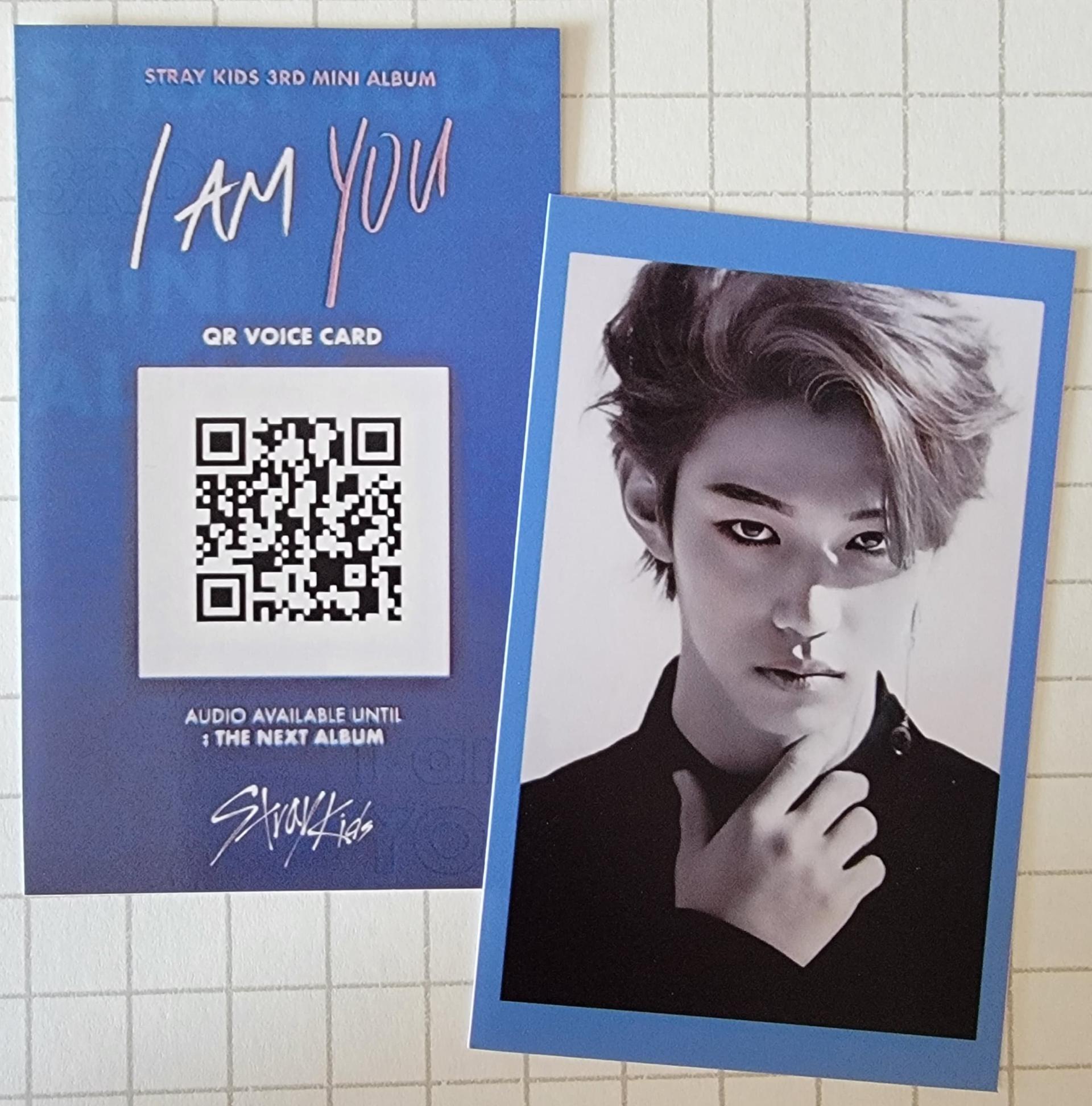 Stray Kids - I am You POB