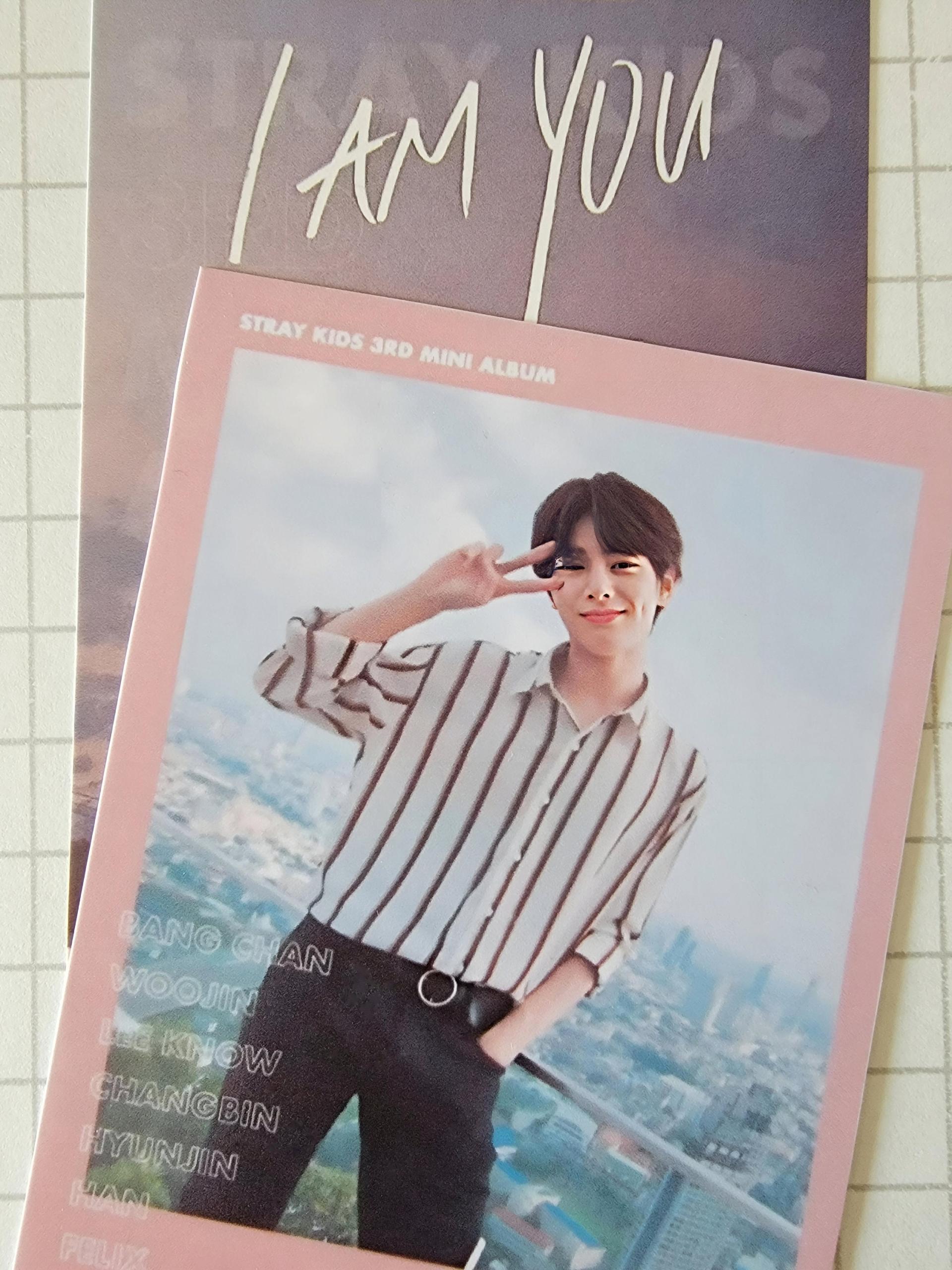 Stray Kids - I am You Polaroid