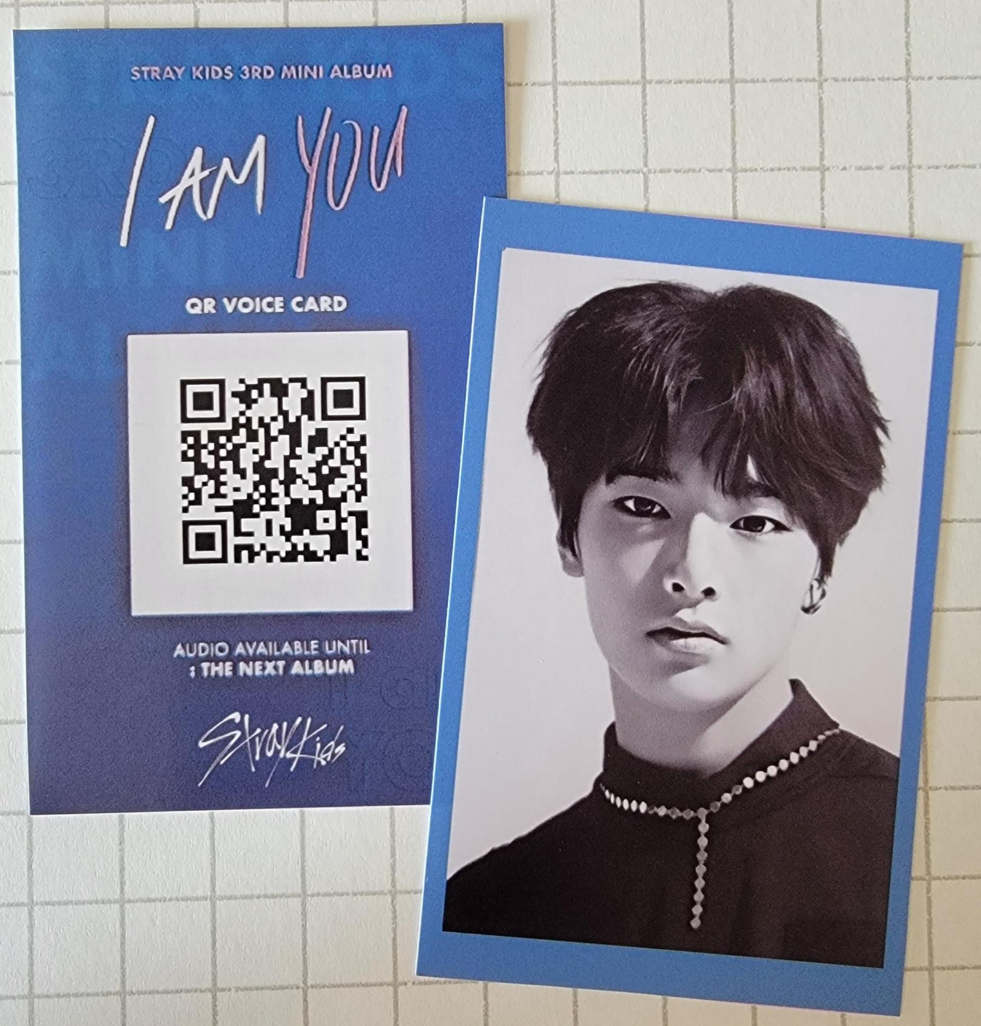 Stray Kids - I am You POB