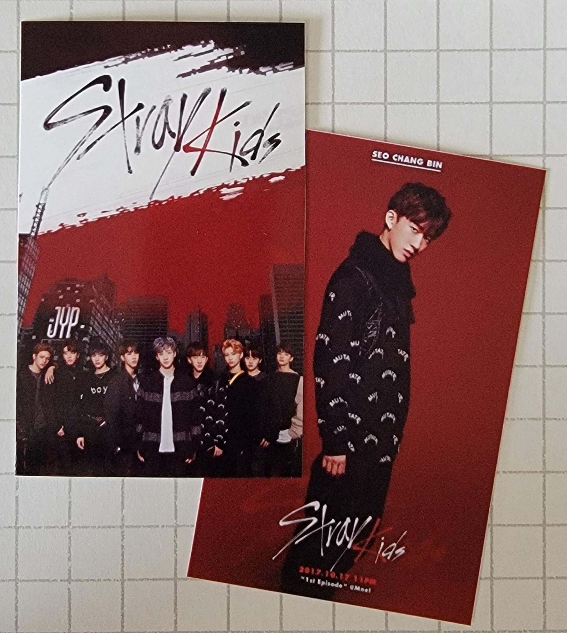Stray Kids pre Debut Survival Show Photocards