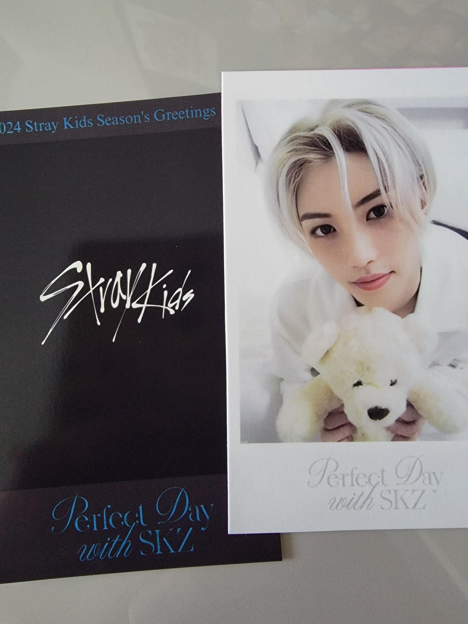 Stray Kids Seasons Greetings 24 Polaroids