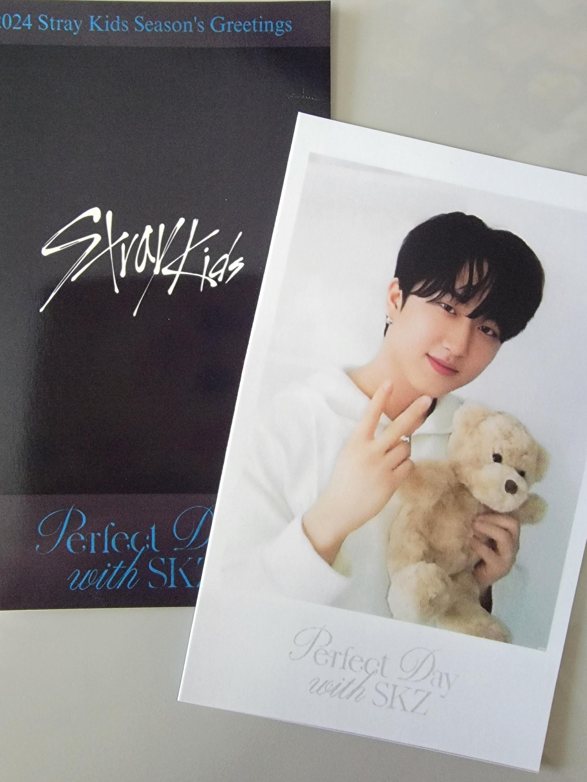 Stray Kids Seasons Greetings 24 Polaroids